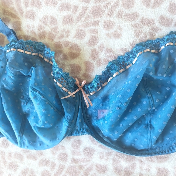 Curvy Kate Bra 44F Blue Sheer Lace Pink Bows Polka Dot Underwire Unpadded Plus - Picture 2 of 4